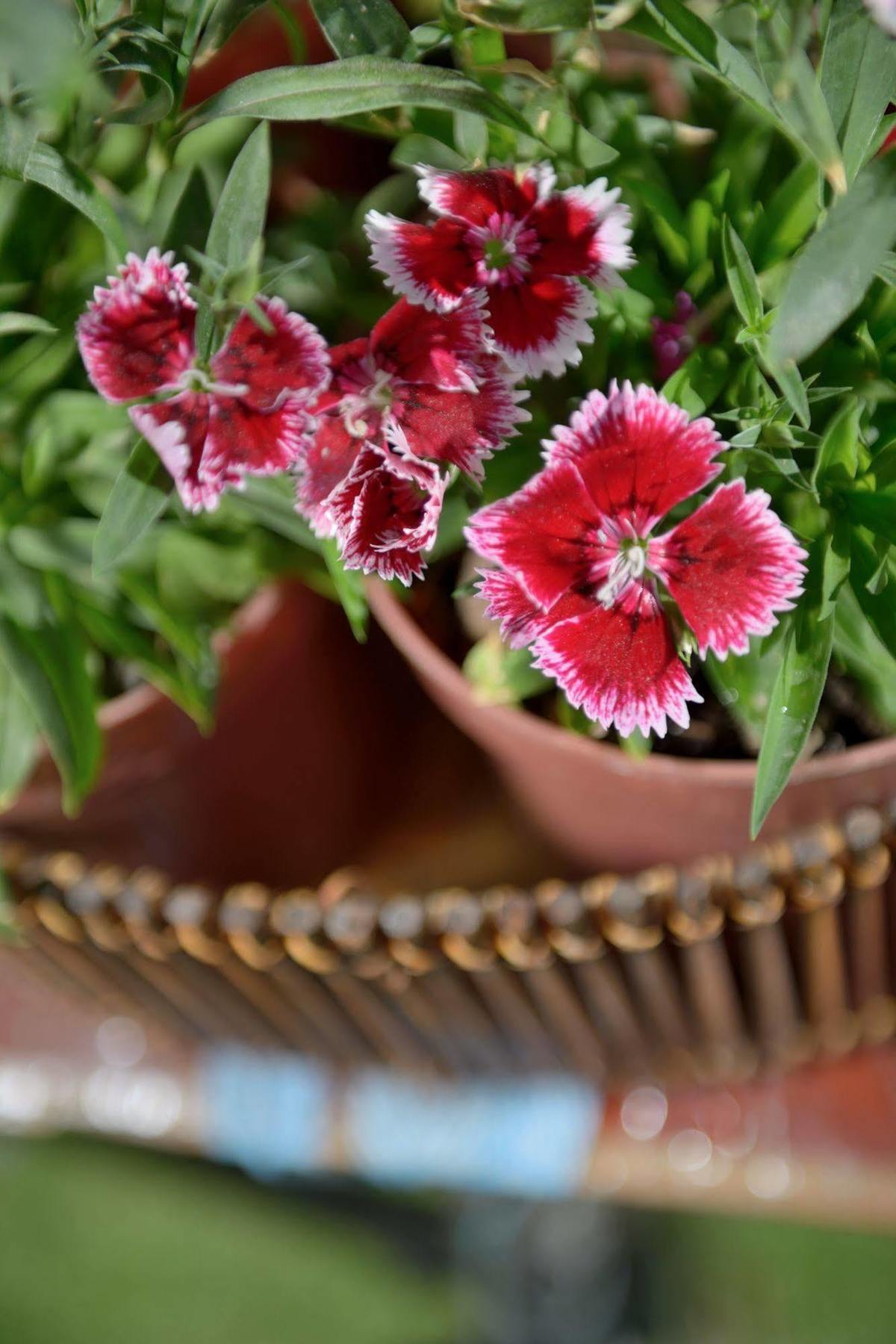 La Tua Casa Hotel Boutique Cochabamba Zewnętrze zdjęcie